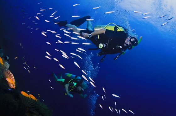 1 Day Diving Packages ( 2 Boat Dives)
