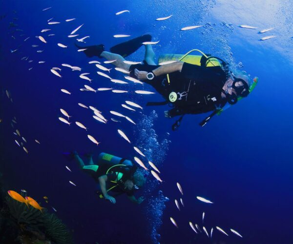 1 Day Diving Packages ( 2 Boat Dives)