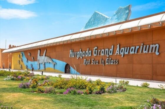 Hurghada Grand Aquarium Tickets