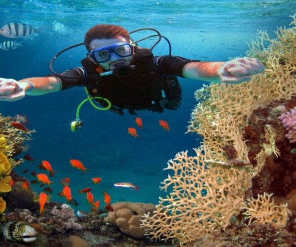 Padi Scuba Diver Course