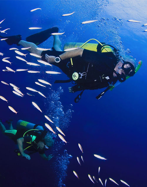 Diving & Courses