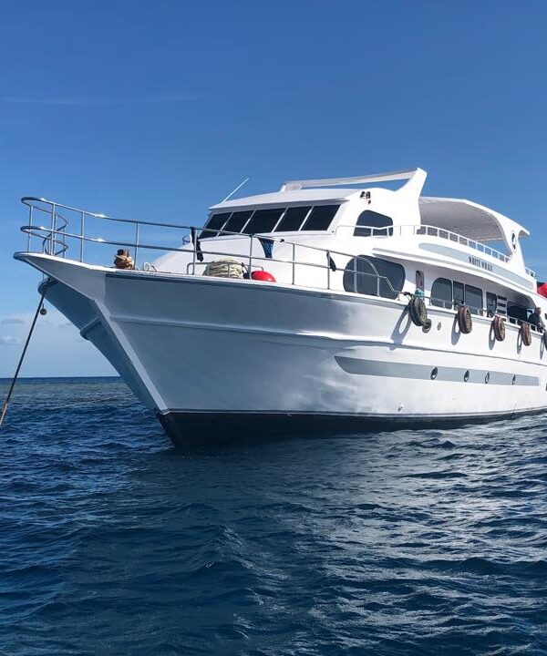 Island and Boat Trips