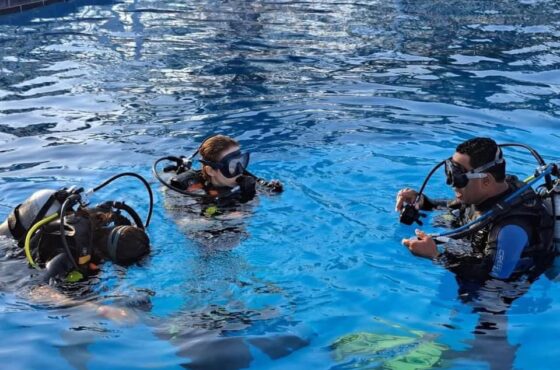 PADI Open Water Diver course