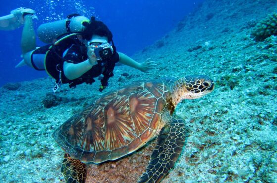 3 Day Diving Packages ( 6 Boat Dives)