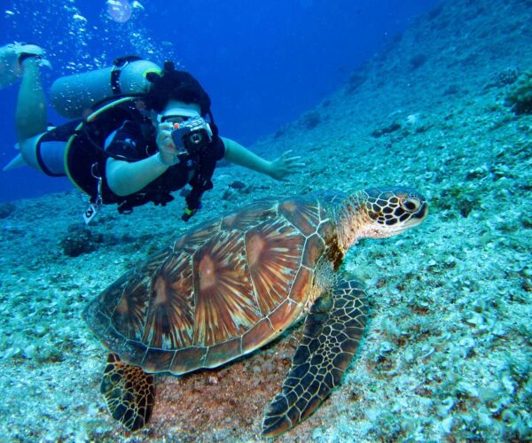 3 Day Diving Packages ( 6 Boat Dives)