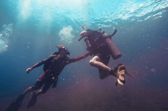 4 Day Diving Packages ( 8 Boat Dives)