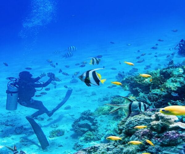 PADI Divemaster Course